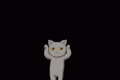 Cat gif