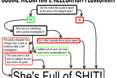 Social-Media-Rape-Allegation-Flowchart